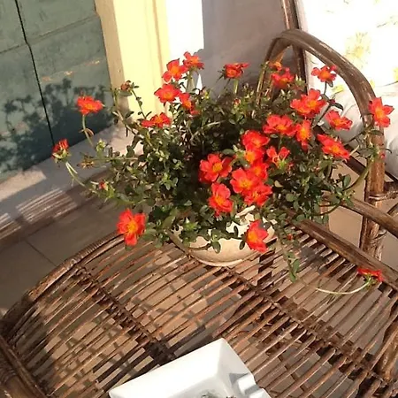 Bed & Breakfast Al Giardinetto Verona