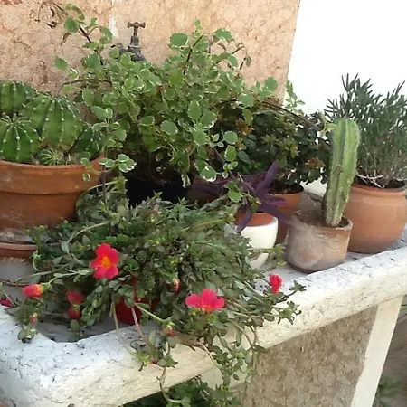 Al Giardinetto ヴェローナ